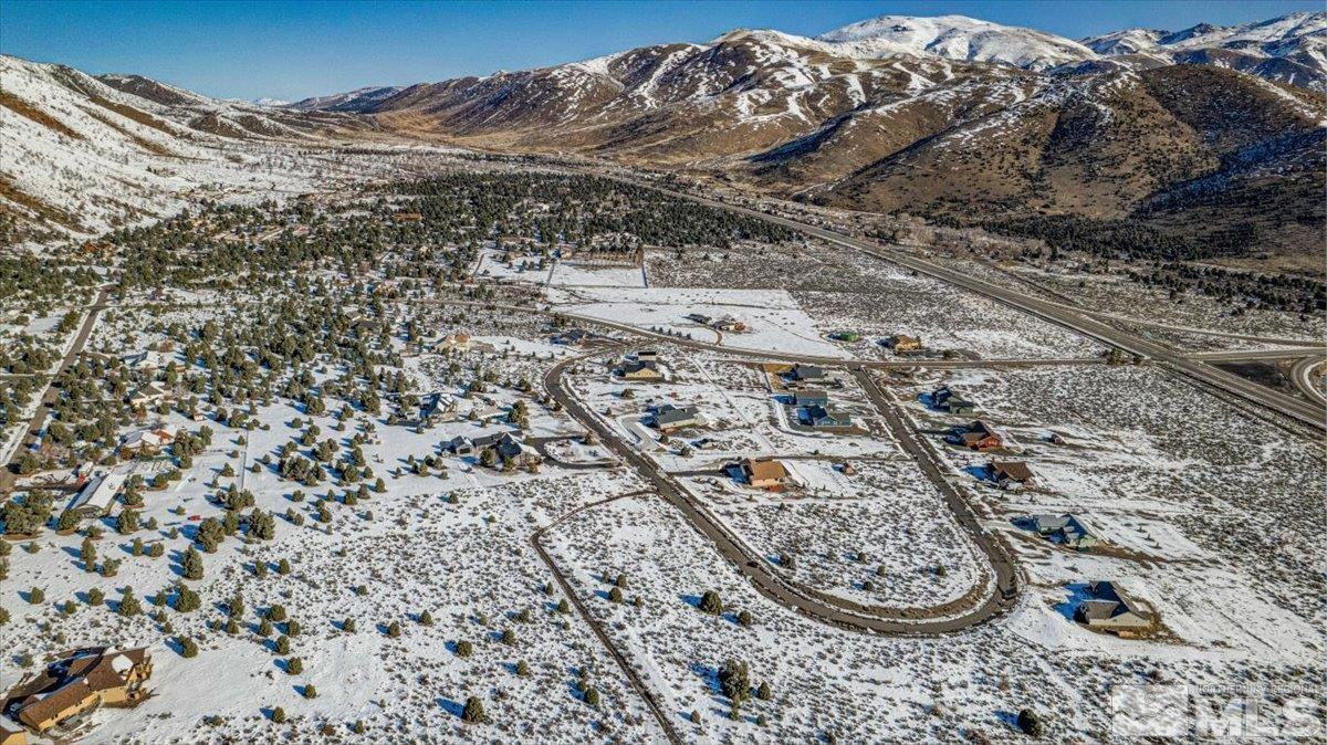 1534 Bolton Loop, Unit 7 Gardnerville, NV 89410 - Photo 16 of 30 a view of a large tree in a yard