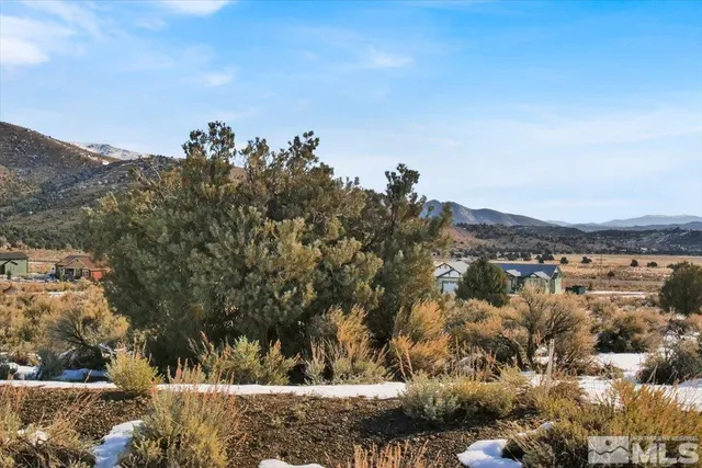 a view of a tree with a mountain in the background
