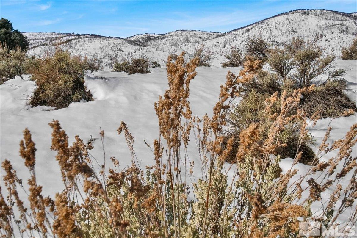 1534 Bolton Loop, Unit 7 Gardnerville, NV 89410 - Photo 6 of 30 a view of lake and mountain