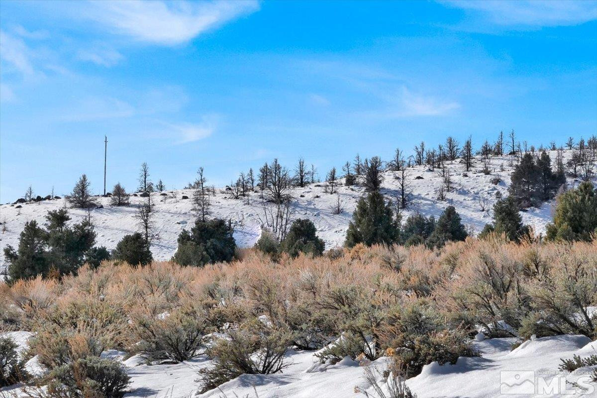 1534 Bolton Loop, Unit 7 Gardnerville, NV 89410 - Photo 9 of 30 a view of a city