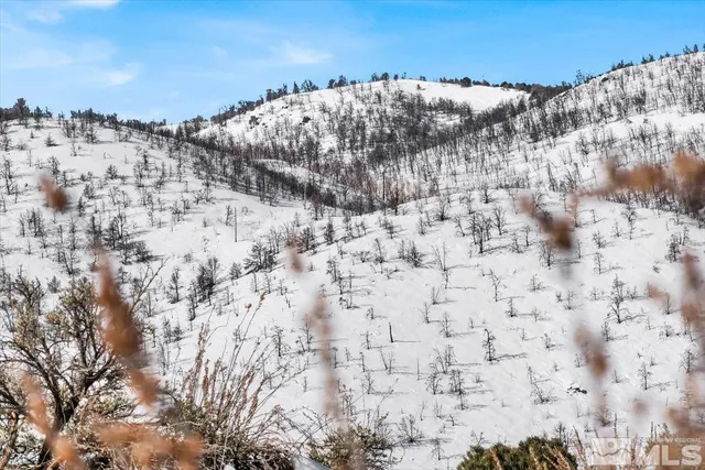 a view of a dry field
