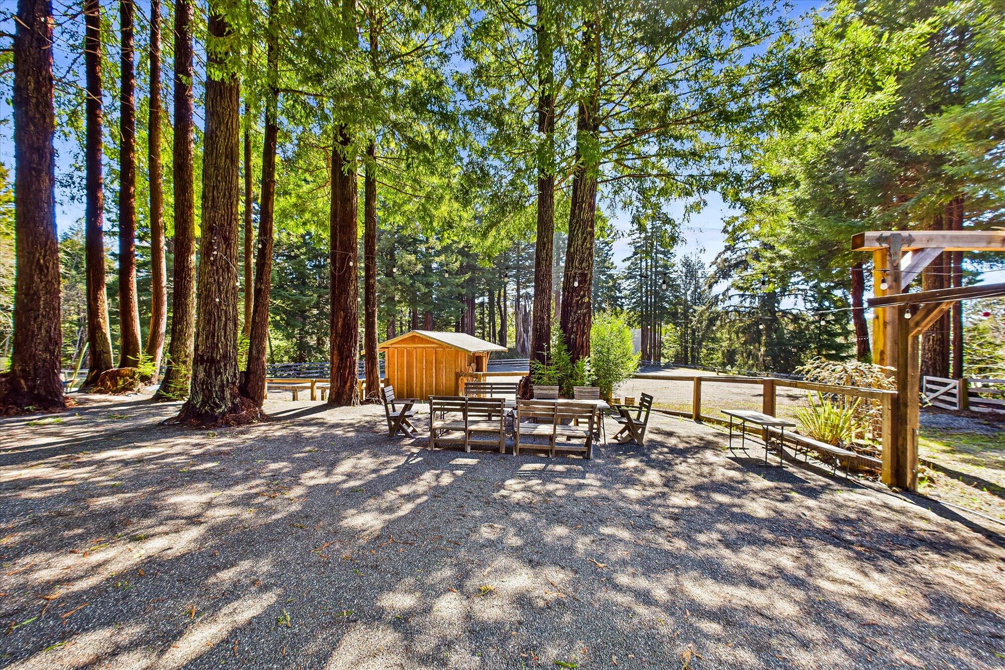 174 Fox Farm Road Trinidad, CA 95570 - Photo 189 of 200 Gallery Image 189