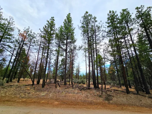 $12,000 | Wampum Lane, Unit 17, Chiloquin, OR 97624