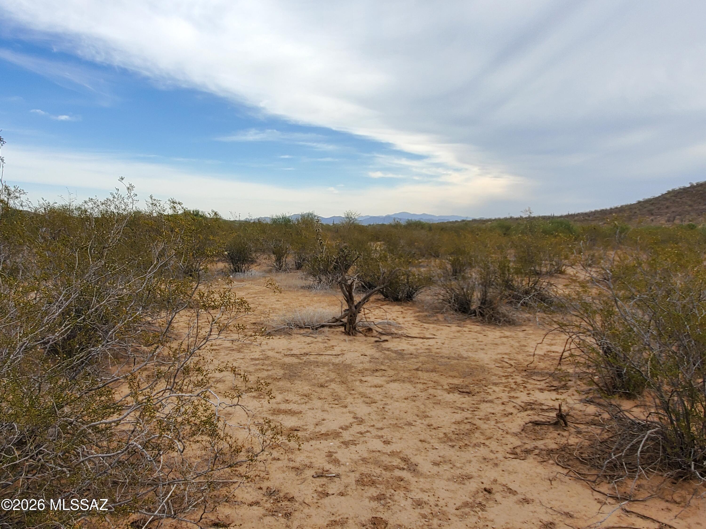 7925 South Worden Road Tucson, AZ 85735 - Photo 17 of 20 a view of a dry yard with mountains in the background