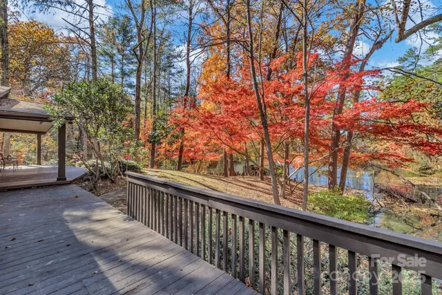 a view of backyard with trees