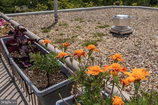 $241,000 | 4600 Connecticut Avenue Northwest, Unit 203, Washington, DC 20008