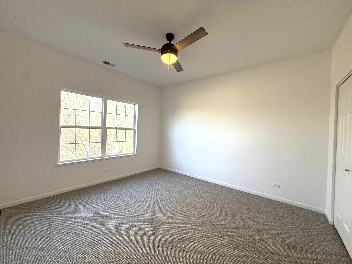 5293 Pebble Lane Crystal Lake, IL 60012 - Photo 15 of 17 an empty room with ceiling fan and windows