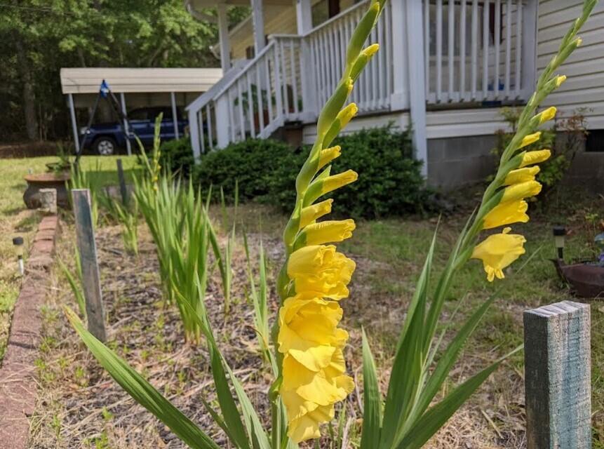 4127 Vaucluse Road Aiken, SC 29801 - Photo 14 of 44