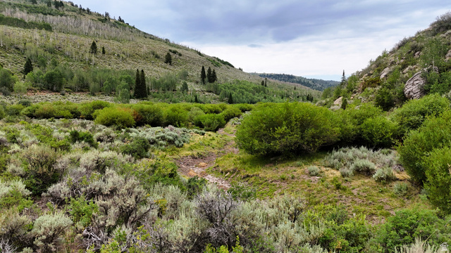 123 Beaver Creek Road Helper, UT 84526 - Photo 16 of 47 Expansive natural landscape featuring varied terrain with dense brush and scattered trees