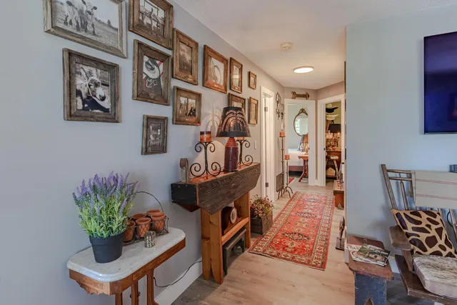 a living room with furniture flowerpot and a potted plant