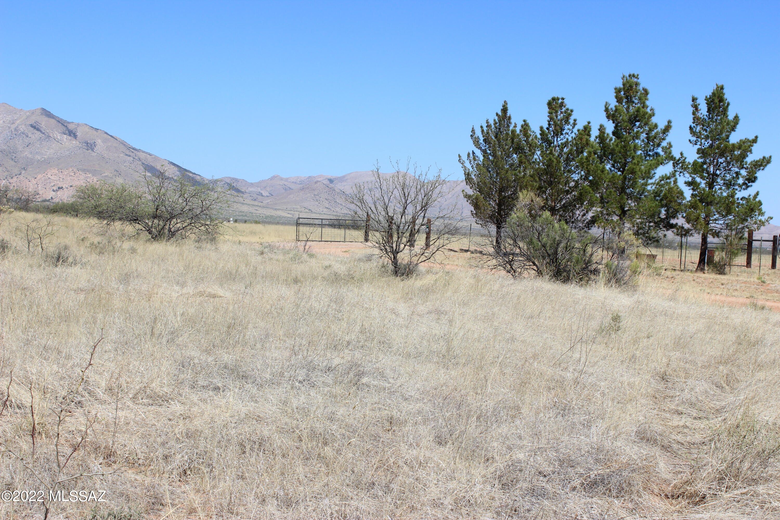 5-lots West Fargo Street Pearce, AZ 85625 - Photo 5 of 12