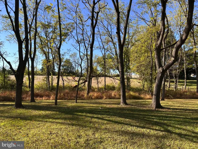 a living room with a couch and a potted plant