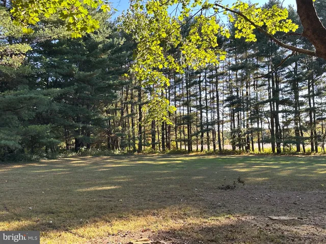 a dining table with chairs and window