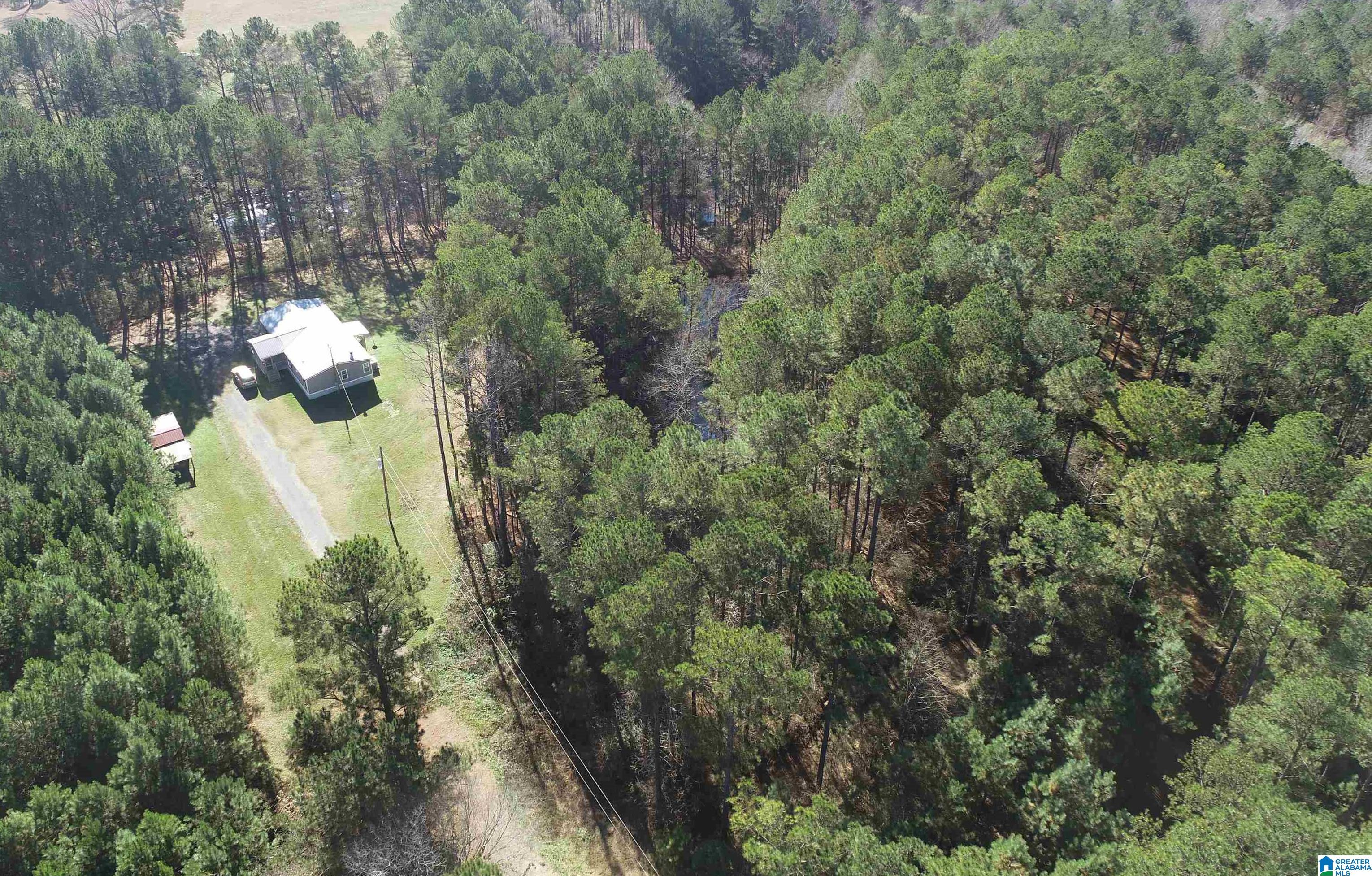 18851 Cattle Ranch Road Brookwood, AL 35444 - Photo 1 of 21