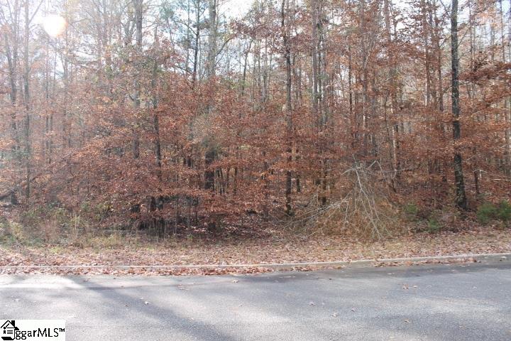 0 Beeks Road, Unit LOT 31 Belton, SC 29627 - Photo 27 of 35