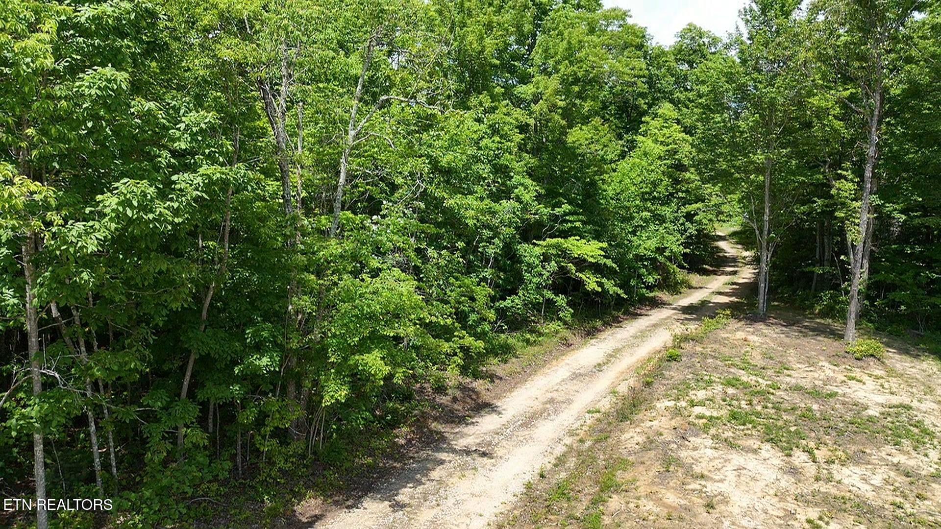 0 Sheep Ranch Road Robbins, TN 37852 - Photo 9 of 29 7srd