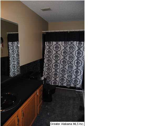6405 Mays Bend Road Pell City, AL 35128 - Photo 16 of 21
