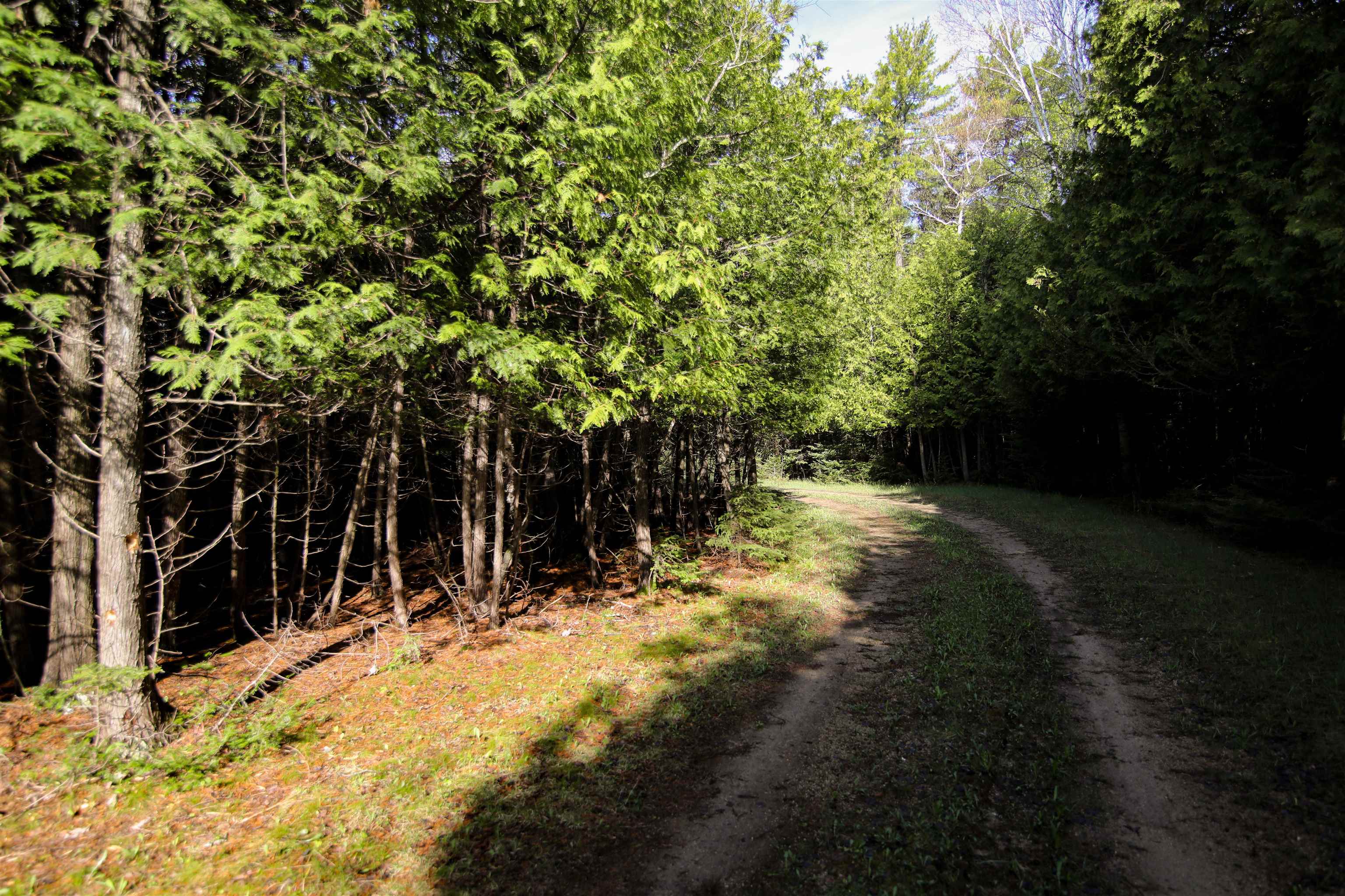 3563 County Road Fish Creek, WI 54212 - Photo 4 of 6