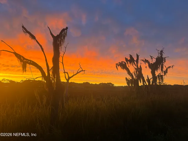 $725,000 | 2959 Marsh Elder Drive South, Jacksonville, FL 32226