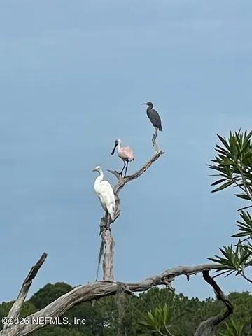 $725,000 | 2959 Marsh Elder Drive South, Jacksonville, FL 32226