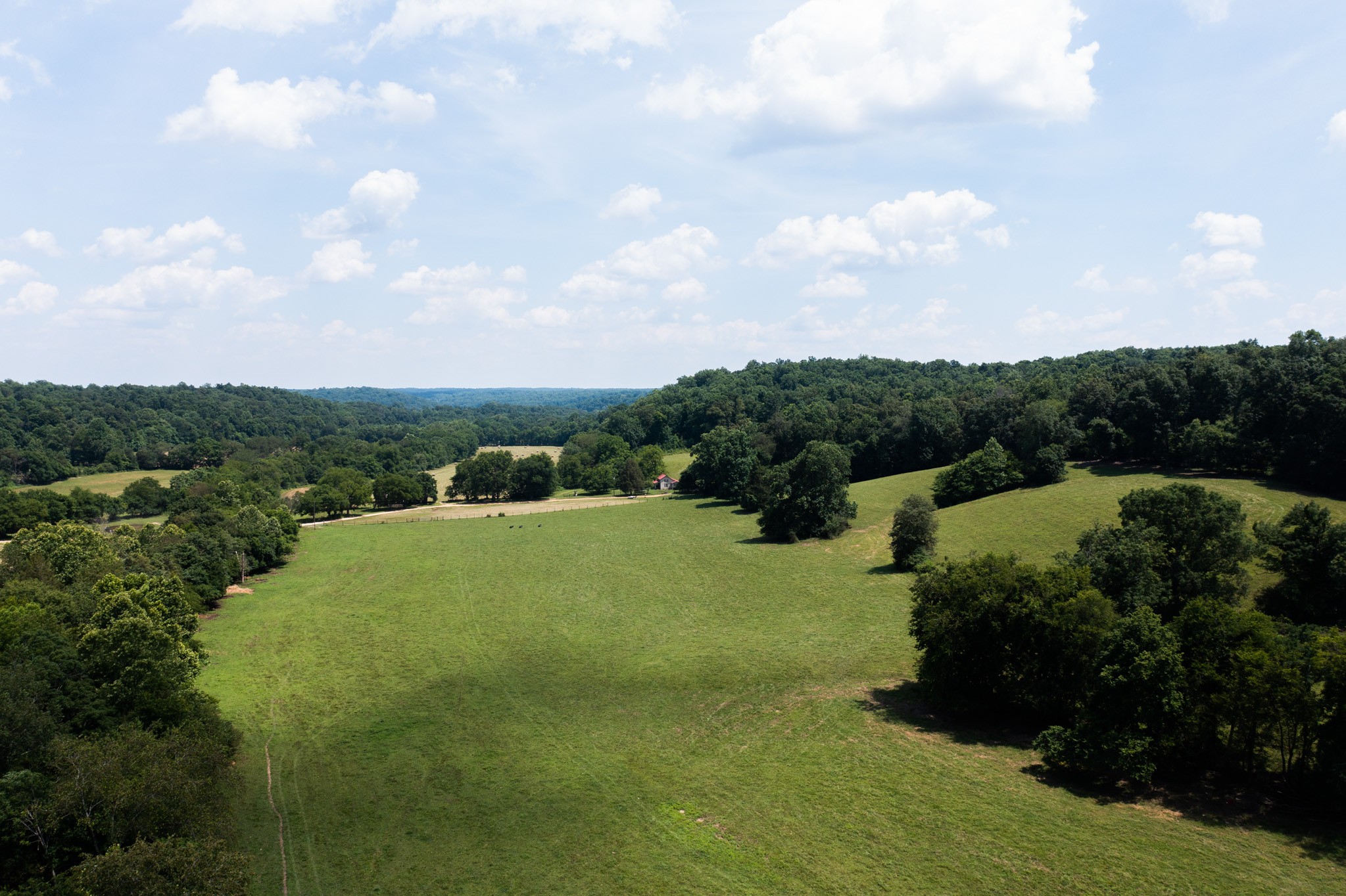 2895 South Possum Hollow Road Nunnelly, TN 37137 - Photo 1 of 25 a view of a big yard with plants and large tree