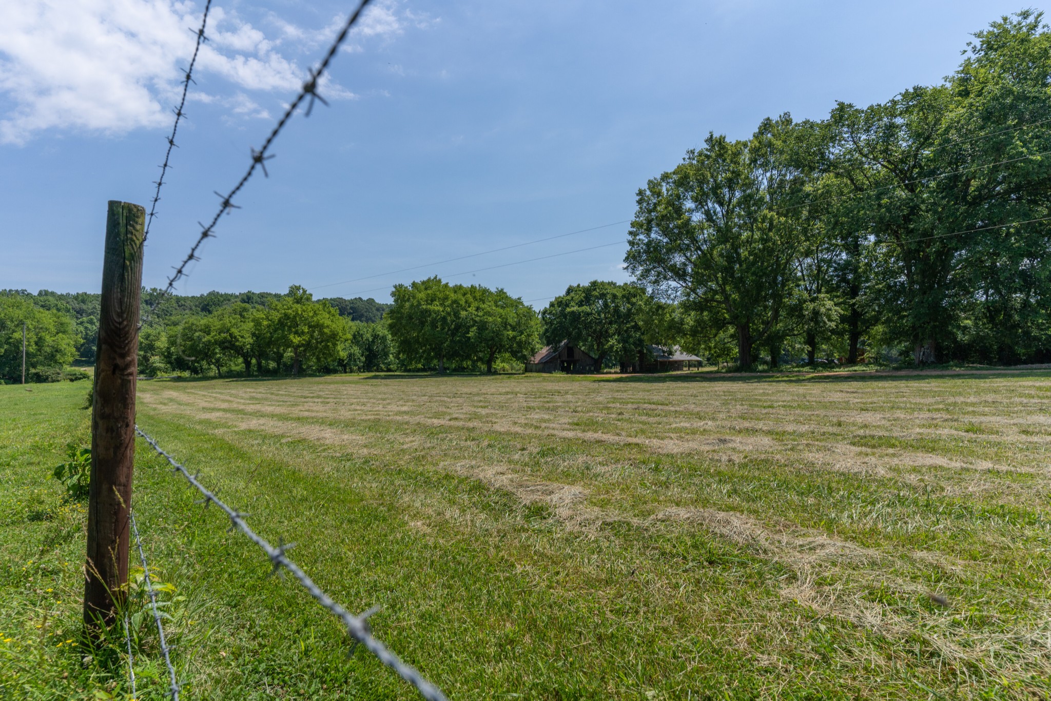 2895 South Possum Hollow Road Nunnelly, TN 37137 - Photo 12 of 25 a view of a garden