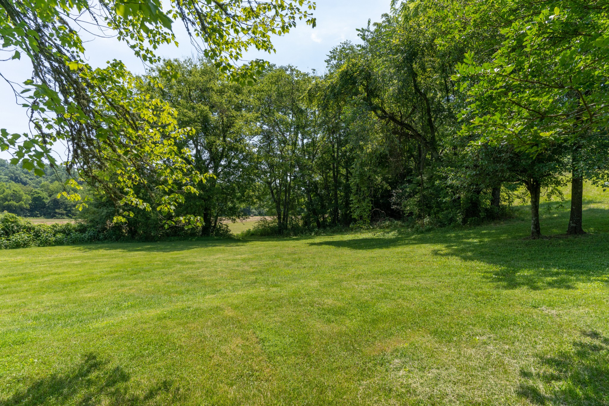 2895 South Possum Hollow Road Nunnelly, TN 37137 - Photo 14 of 25 a view of a field with trees in front of it