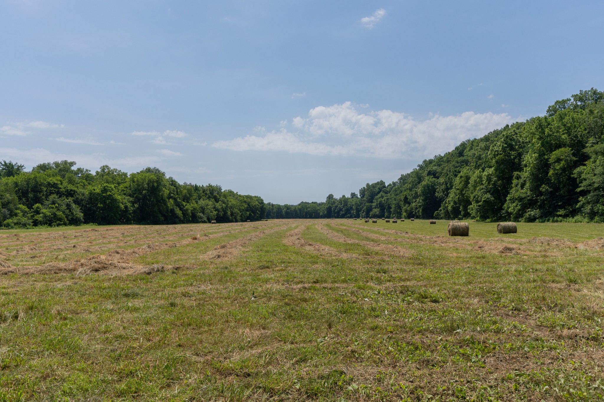2895 South Possum Hollow Road Nunnelly, TN 37137 - Photo 19 of 25 a view of a lake view