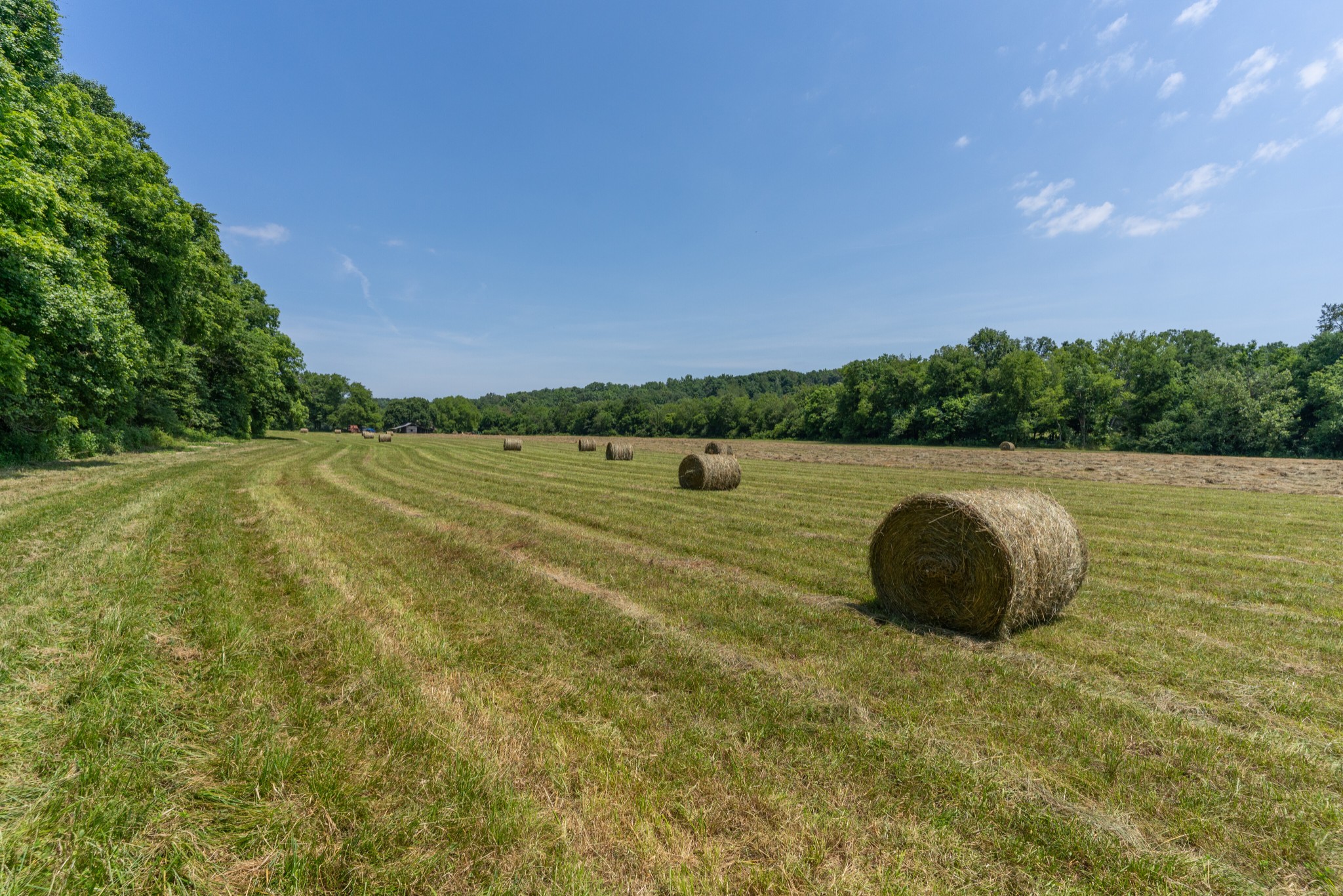 2895 South Possum Hollow Road Nunnelly, TN 37137 - Photo 22 of 25 a view of a field with trees in the background