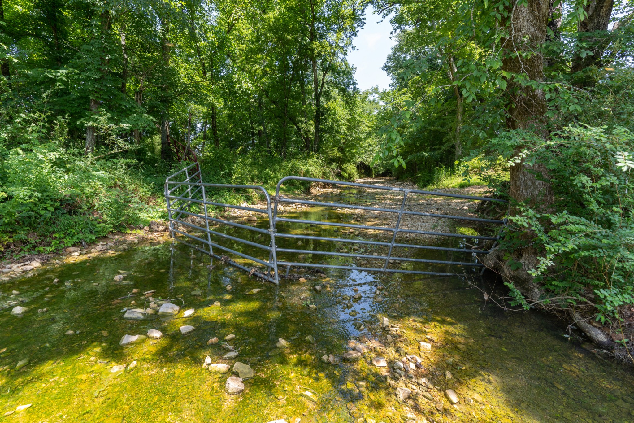 2895 South Possum Hollow Road Nunnelly, TN 37137 - Photo 24 of 25 a view of a small yard