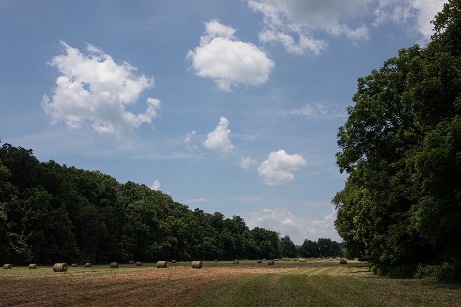 2895 South Possum Hollow Road Nunnelly, TN 37137 - Photo 6 of 25 a view of a lake and trees in the background
