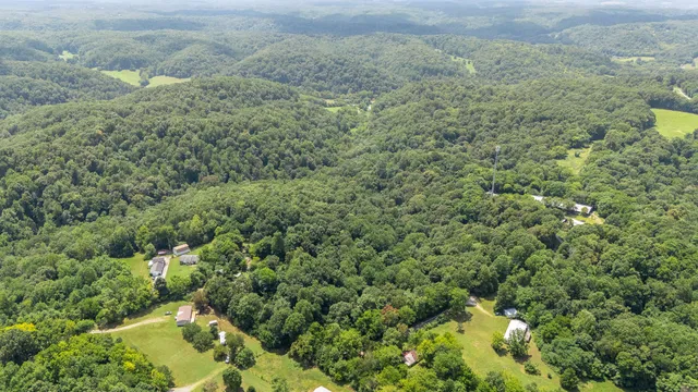 a view of a forest with a houses