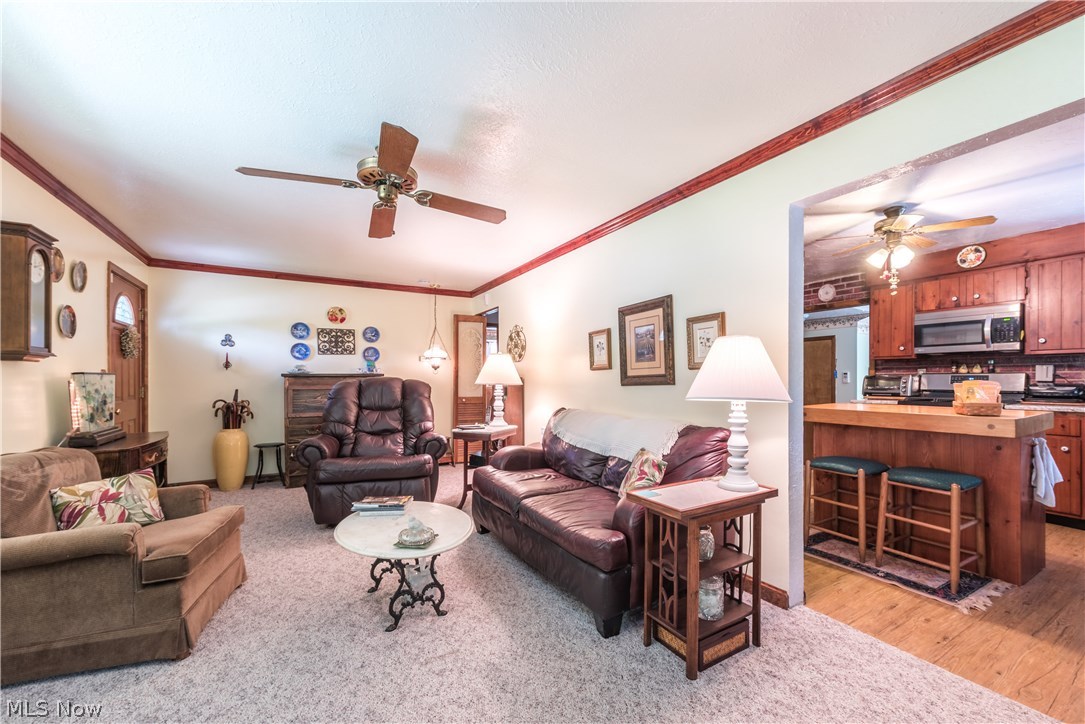3608 South County Line Road Geneva, OH 44041 - Photo 6 of 34
