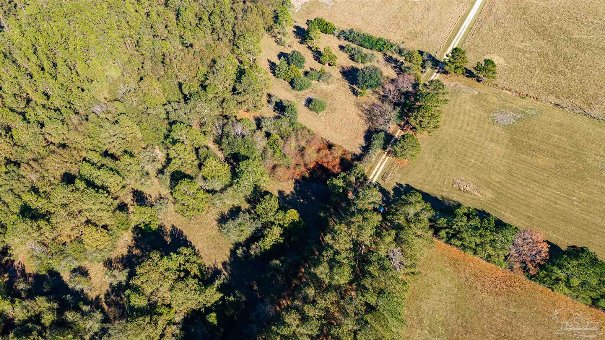 1756 Jacks Branch Road Cantonment, FL 32533 - Photo 4 of 29 a view of a plant with a yard