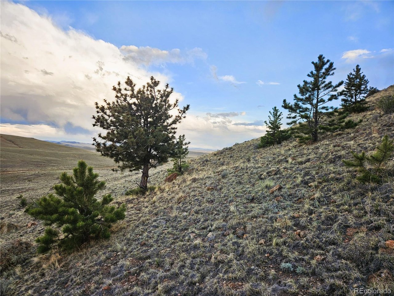 25468 Sioux Road Hartsel, CO 80449 - Photo 7 of 25