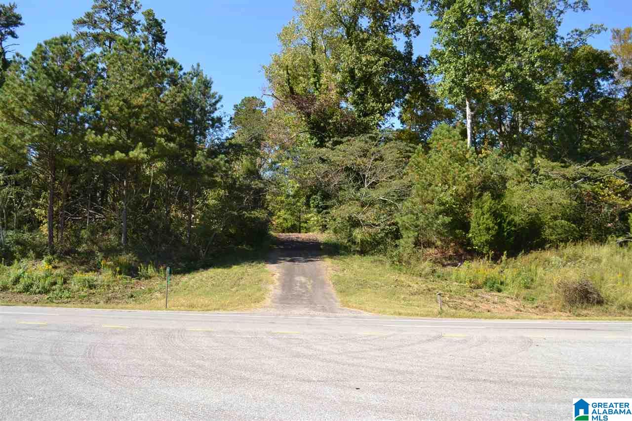 17871 Highway 75, Unit 5 7 ACRES Remlap, AL 35133 - Photo 23 of 23