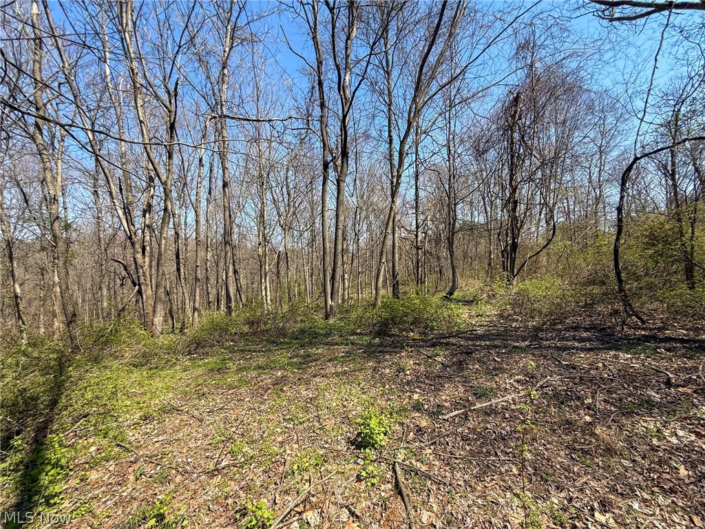 Claysville Road Cumberland, OH 43732 - Photo 30 of 47