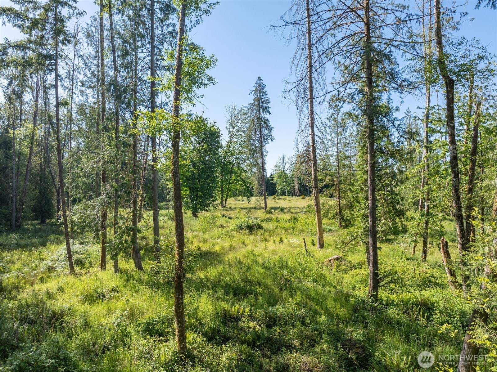 0 Chilvers Road Chehalis, WA 98532 - Photo 29 of 40
