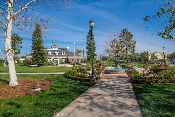 a view of a park with large trees