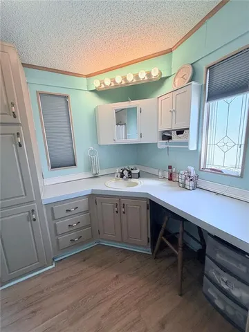 a view of backyard of house