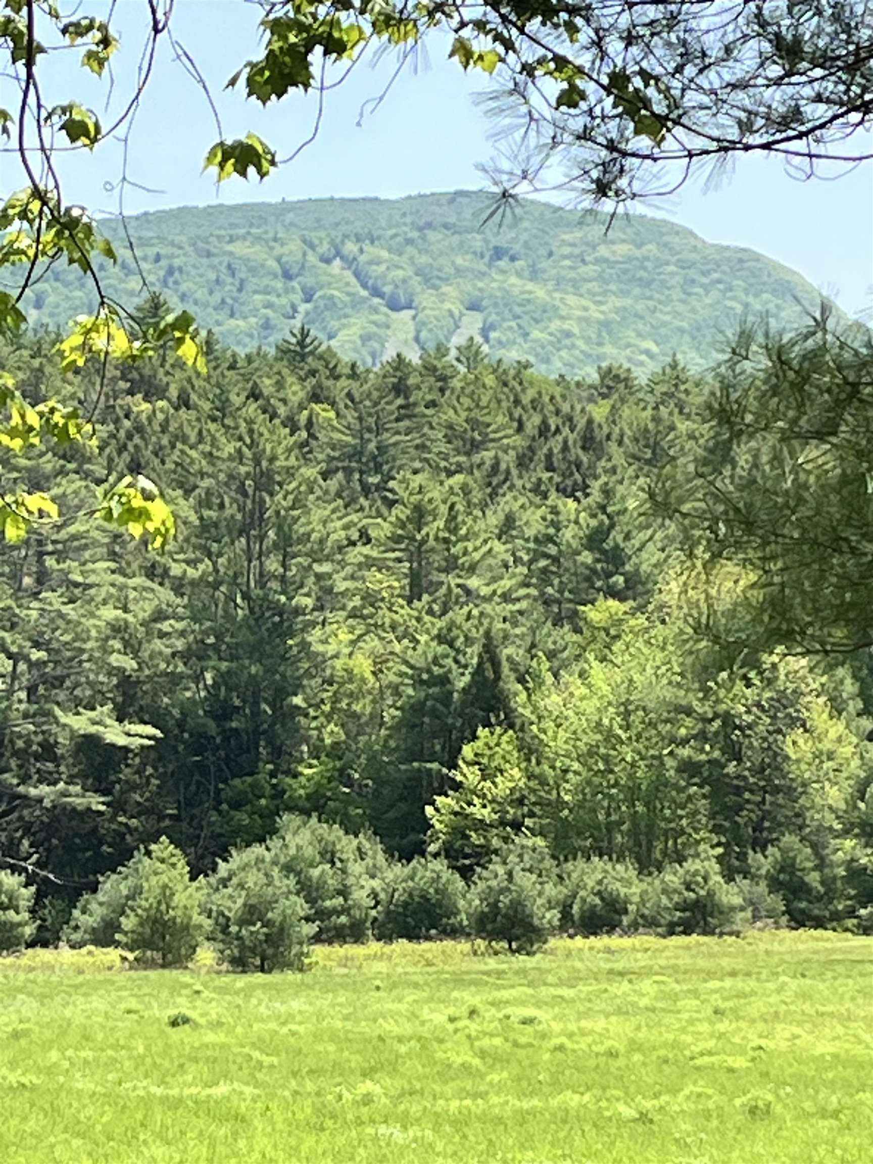 44 Franklin Hill Road Lyme, NH 03768 - Photo 3 of 13