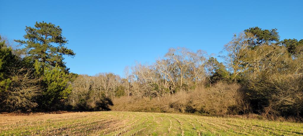 50.45-acres Trawick Road Dothan, AL 36301 - Photo 11 of 62