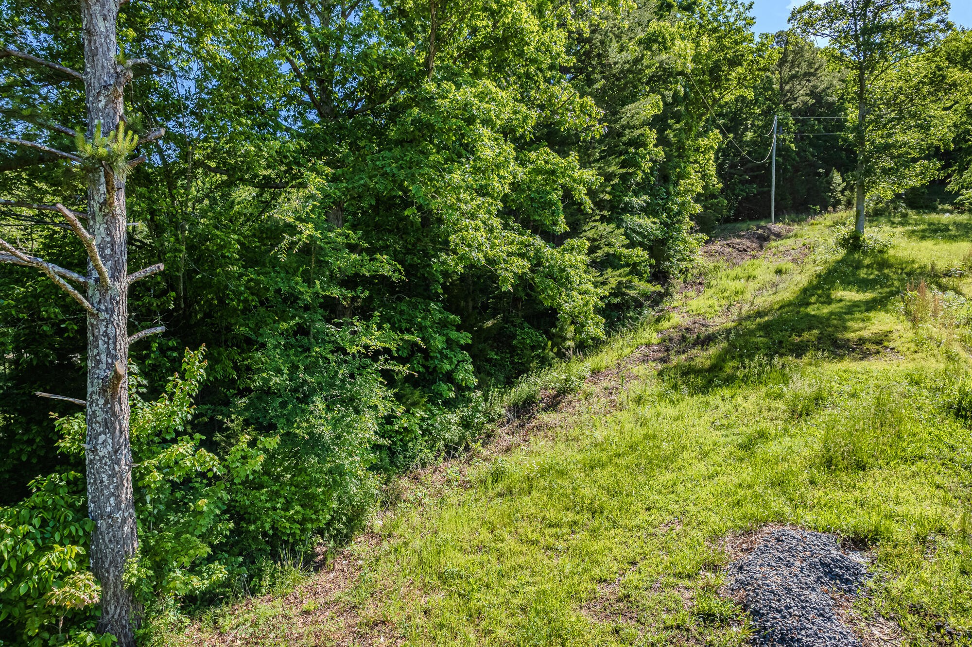 2163 Shiloh Road Decatur, TN 37322 - Photo 7 of 13