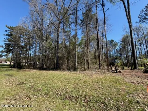 $35,000 | 0 King Boulevard, Petal, MS 39465