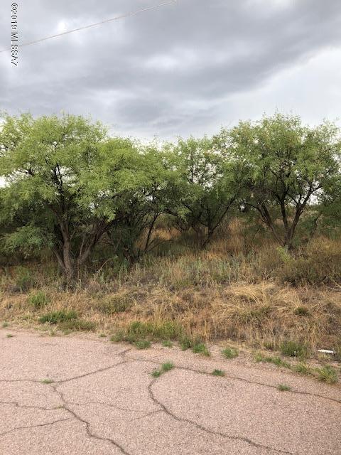 919 Via Orizaba, Unit 24 Rio Rico, AZ 85648 - Photo 3 of 4