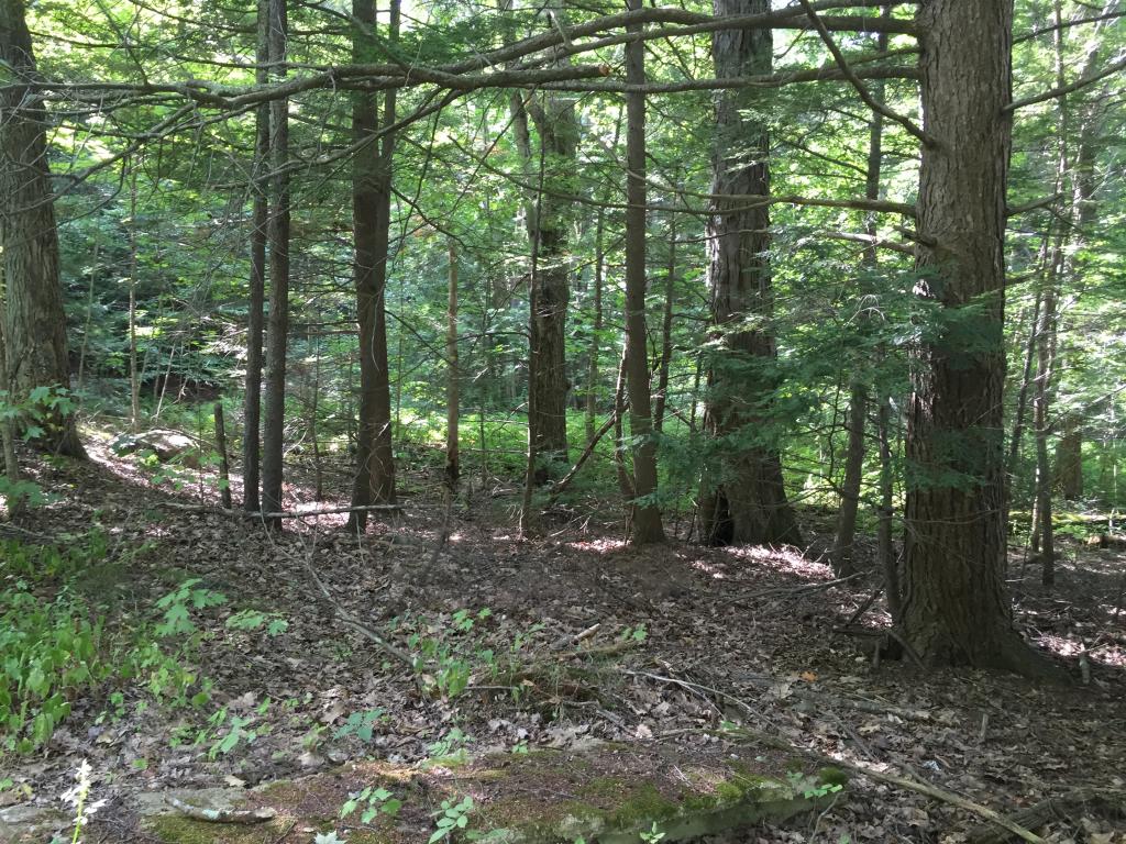 Lot 103 Old Sandown Road Chester, NH 03036 - Photo 8 of 8