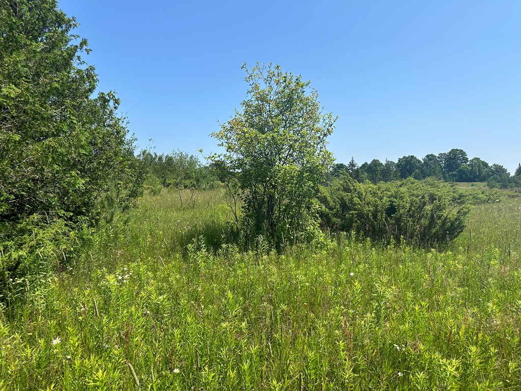 Lot #3 Cedar Ridge Road Baileys Harbor, WI 54202 - Photo 3 of 3
