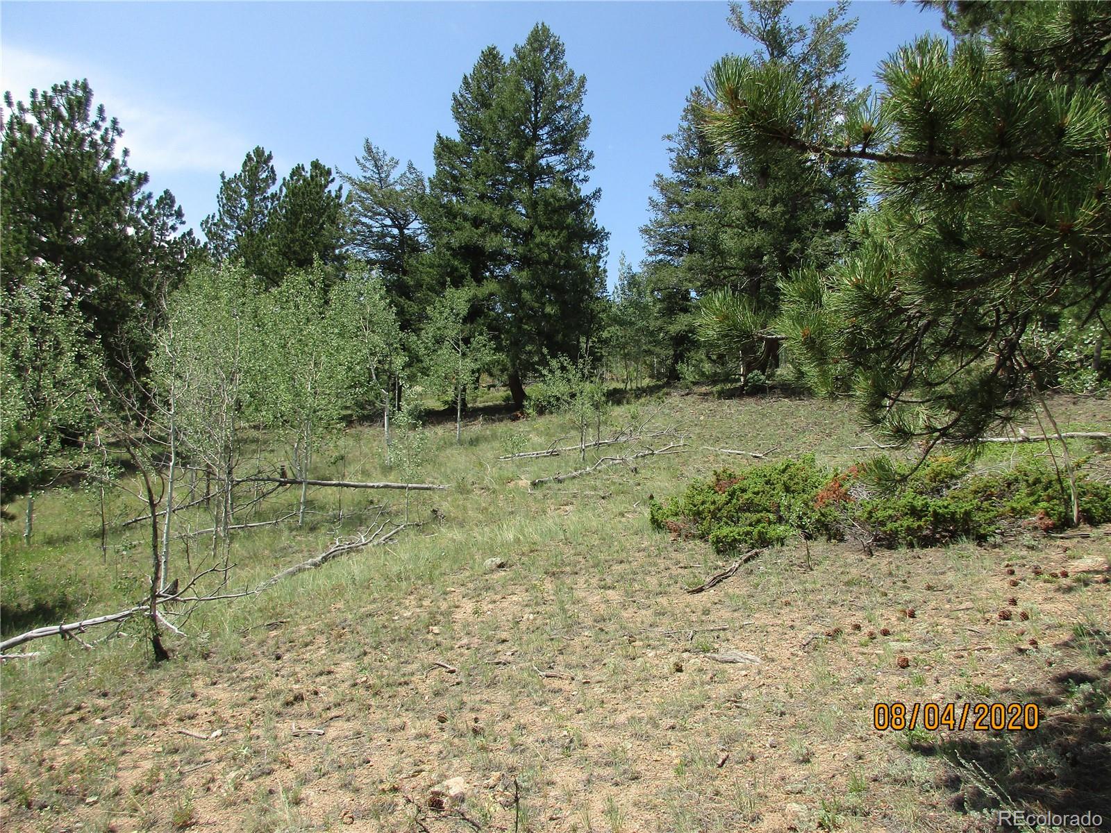606 Evergreen Road Black Hawk, CO 80422 - Photo 3 of 8 Gallery Image 3