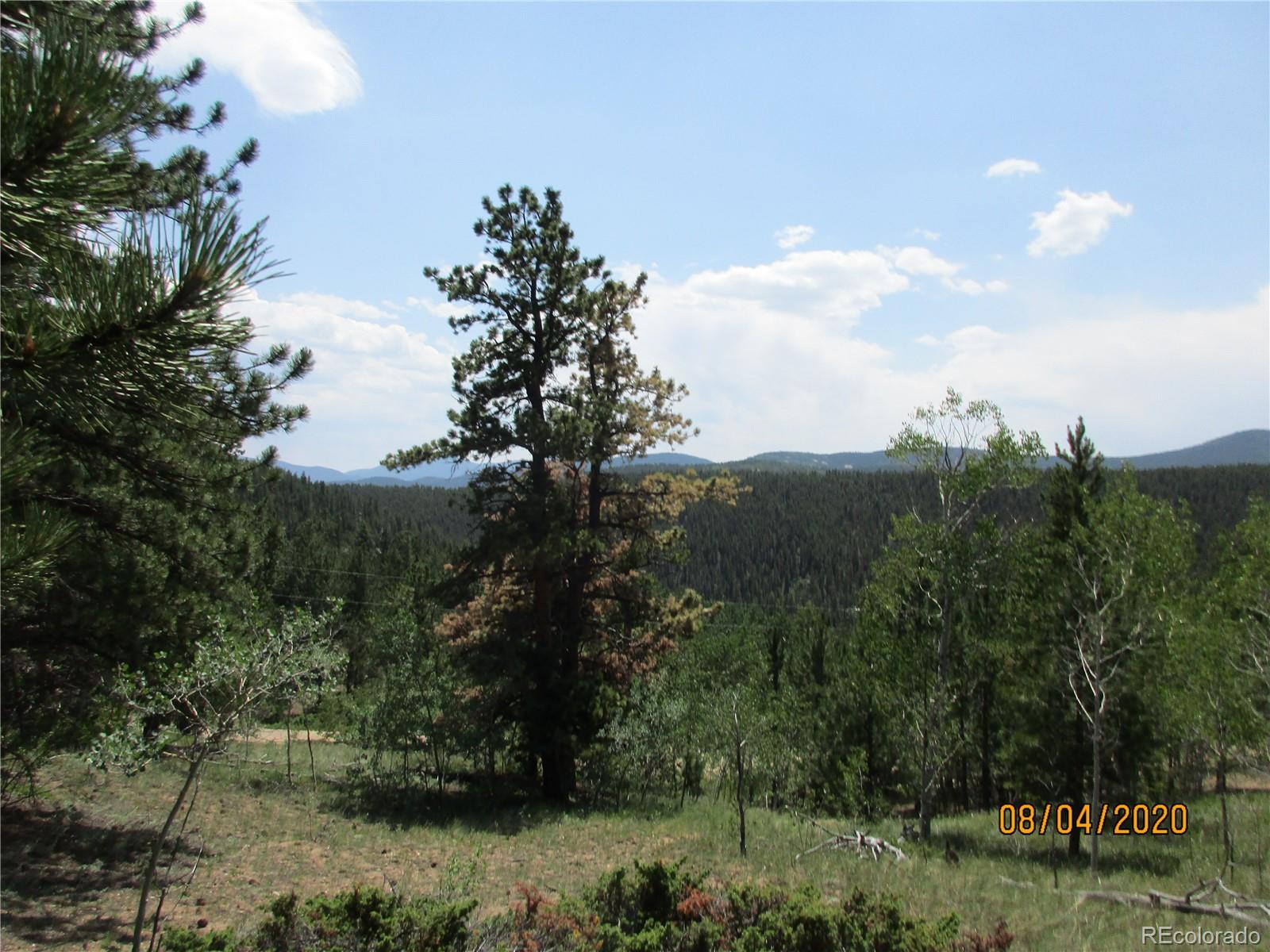 606 Evergreen Road Black Hawk, CO 80422 - Photo 4 of 8 Gallery Image 4