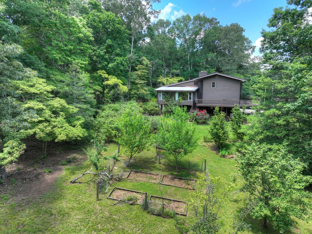 423 Chinquapin Road Ellijay, GA 30536 - Photo 59 of 64 Large back yard